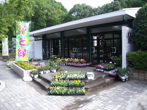 園芸売店を再開しました 長居公園 Nagai Park