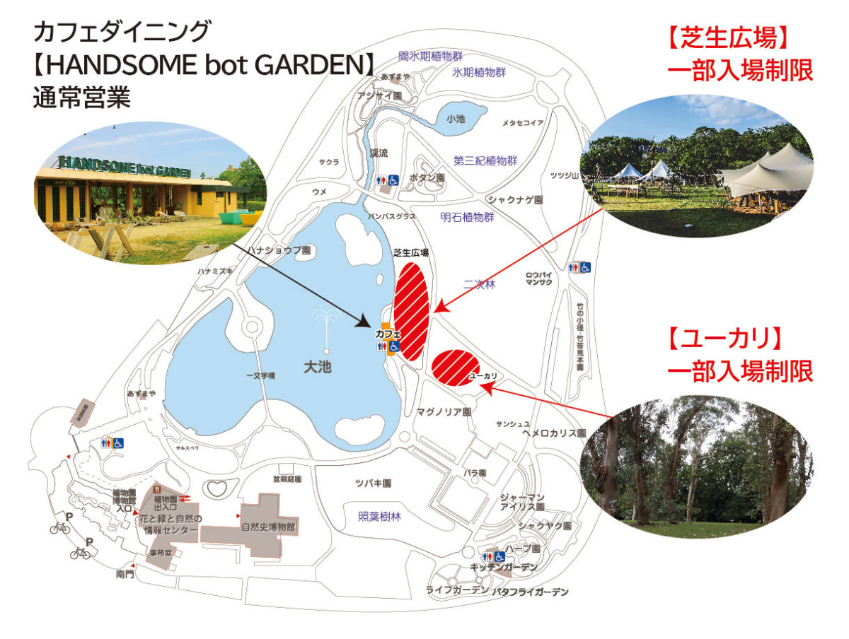 お知らせ 10月10日 日 の芝生広場 ユーカリエリアの使用について 長居公園 Nagai Park